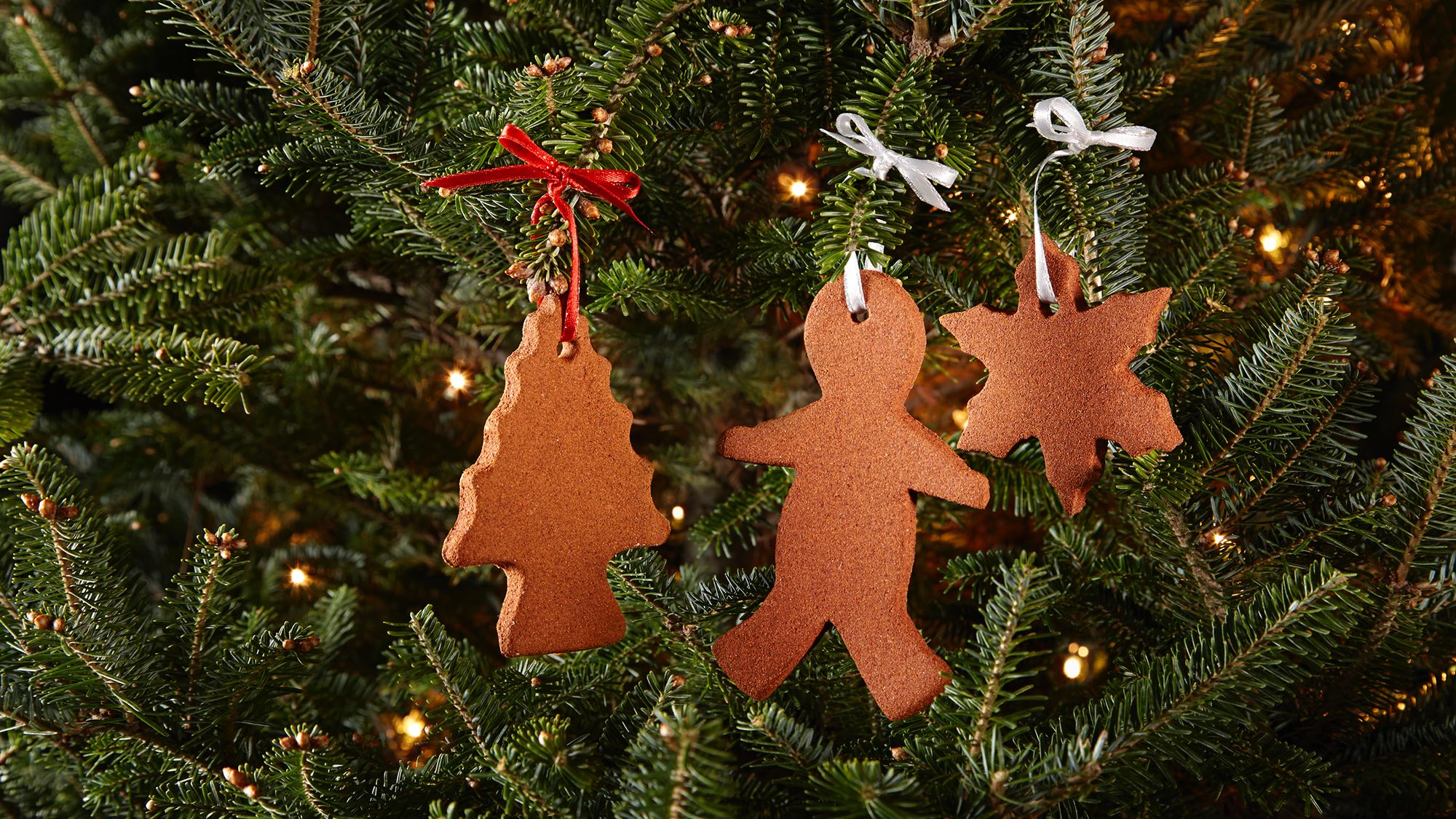 cinnamon-ornaments